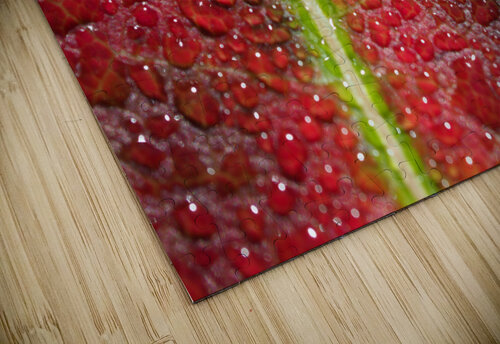 Maple Leaf Suzanne Bonin puzzle