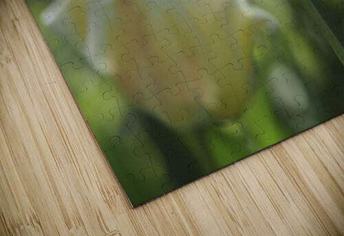 Simple Beauty Suzanne Bonin puzzle