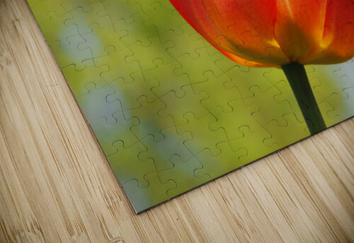 Pop of Color Suzanne Bonin puzzle