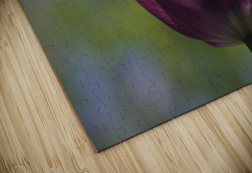 Perfect Day Suzanne Bonin puzzle