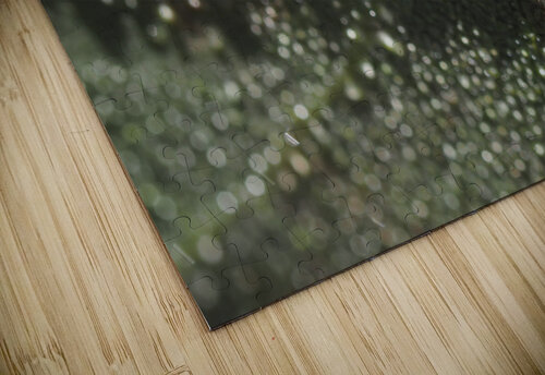 Leaf with Morning Dew Suzanne Bonin puzzle