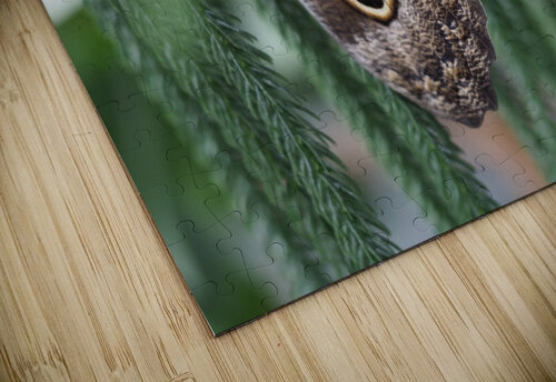 Owl Butterfly Suzanne Bonin puzzle