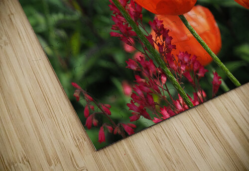 Poppies Suzanne Bonin puzzle