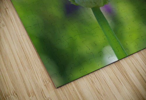 Pretty Onion Suzanne Bonin puzzle