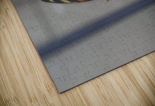 Tiger Heliconian Suzanne Bonin puzzle