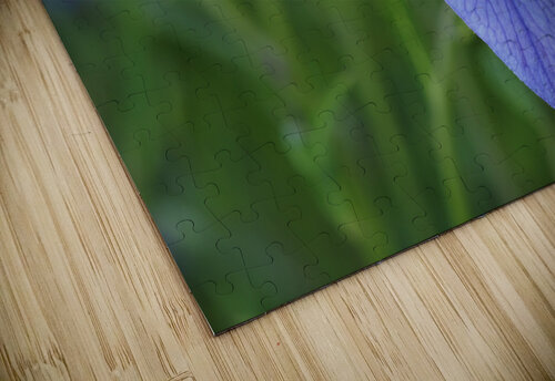 Balloon Flower Suzanne Bonin puzzle