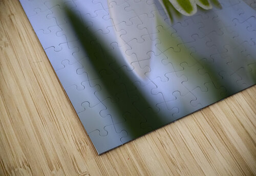 Snowdrop Bulb Suzanne Bonin puzzle