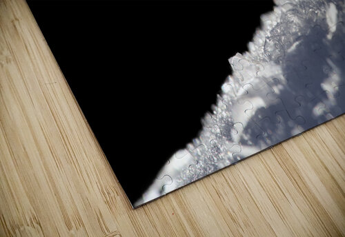 Frozen Soap Bubble Suzanne Bonin puzzle