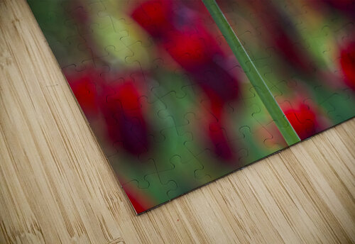 The Yellow One Suzanne Bonin puzzle