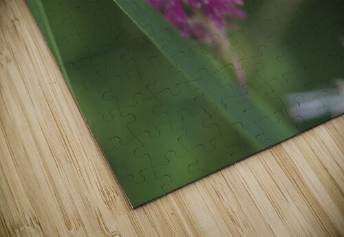 Lilac Squirrel Suzanne Bonin puzzle