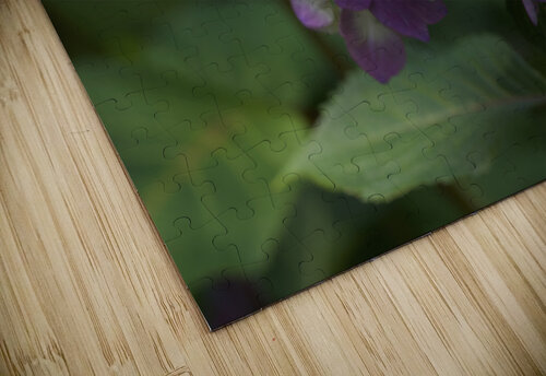 Endless Summer Suzanne Bonin puzzle