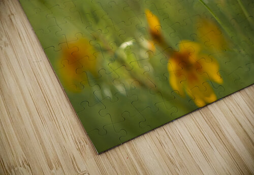 Field of Wild Marigolds Suzanne Bonin puzzle