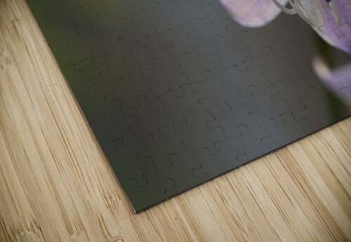 Hosta Closeup Suzanne Bonin puzzle