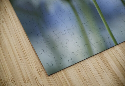 From Under Suzanne Bonin puzzle