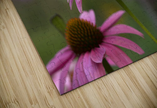 Ladies in Pink Suzanne Bonin puzzle