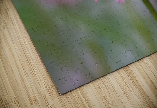 Pink Echinacea Suzanne Bonin puzzle