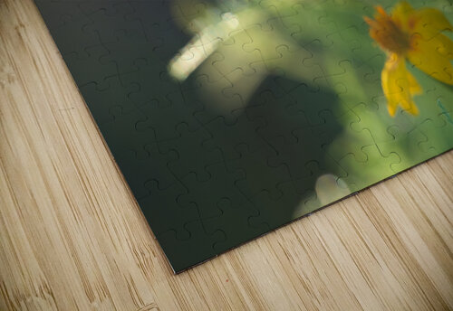 Wild Marigolds Suzanne Bonin puzzle