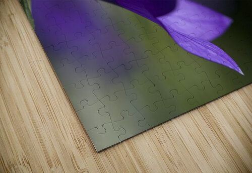 Water Drop Refraction Suzanne Bonin puzzle