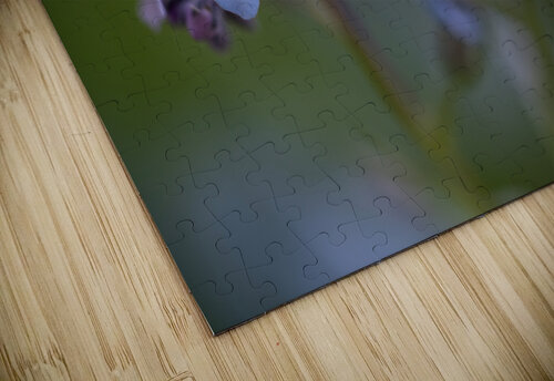 Scorption Grasses Suzanne Bonin puzzle