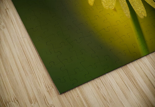 Golden One Suzanne Bonin puzzle