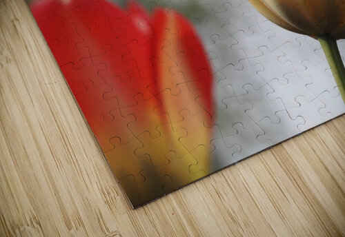 Leaning Tulip Suzanne Bonin puzzle