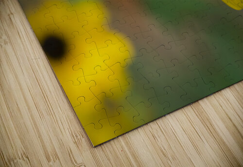 Black Eye Suzanne Bonin puzzle