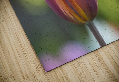 Pastel Garden Tulip Suzanne Bonin puzzle