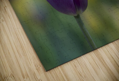 The Purple One Suzanne Bonin puzzle