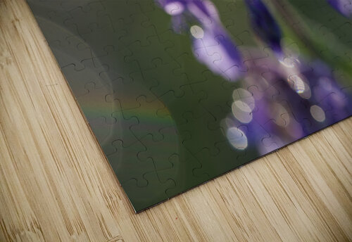 Drops and Bokeh Suzanne Bonin puzzle