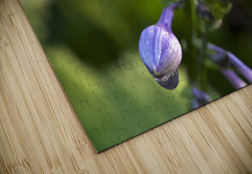 Rain Drops Suzanne Bonin puzzle