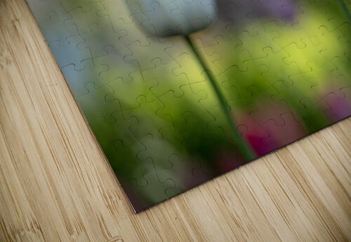 Pure and Simple Suzanne Bonin puzzle