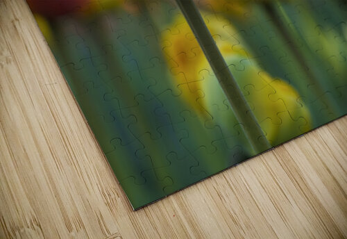 Unique Suzanne Bonin puzzle