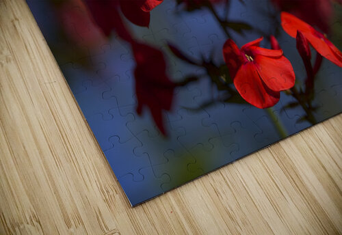 Pretty in Red Suzanne Bonin puzzle