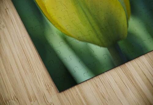 Pretty in Yellow Suzanne Bonin puzzle