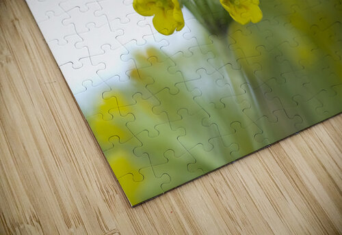 Mes Jolies Suzanne Bonin puzzle