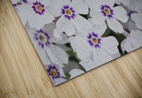 Little Darlings Suzanne Bonin puzzle