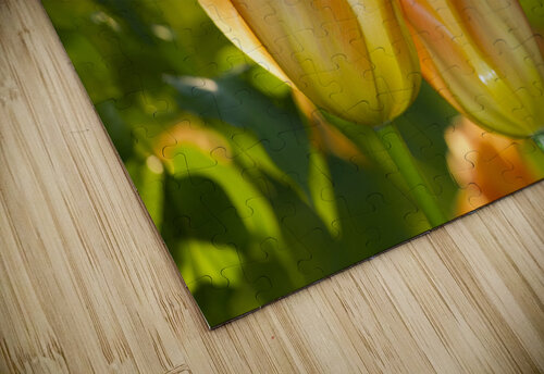 Glorious Day Suzanne Bonin puzzle