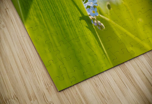 Here Comes the Sun Suzanne Bonin puzzle