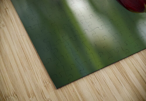 Exquisite Beauty Suzanne Bonin puzzle