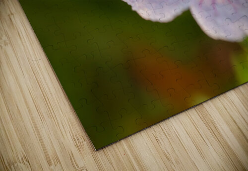 Pretty Pretty Suzanne Bonin puzzle