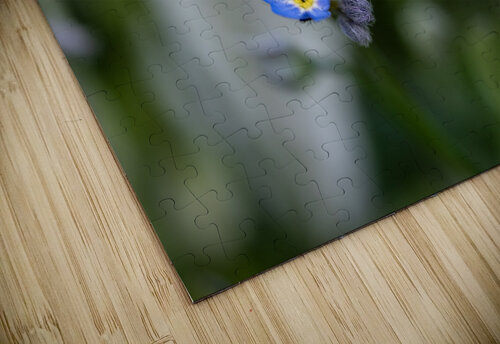 Beauties in Blue Suzanne Bonin puzzle