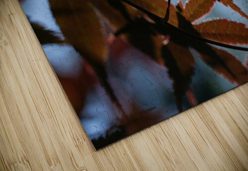 Striking Leaves Suzanne Bonin puzzle