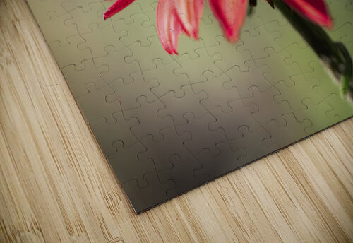 Simply Red Suzanne Bonin puzzle