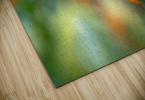 Foreground Suzanne Bonin puzzle