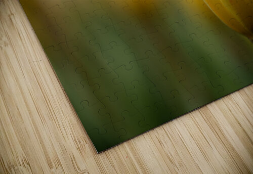 Yellow Radiance Suzanne Bonin puzzle