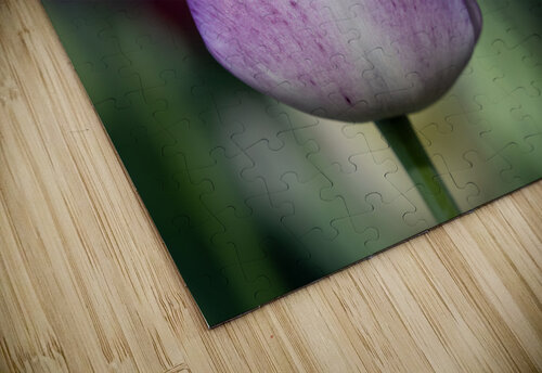 Purple Muse Suzanne Bonin puzzle