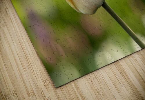 Yellow Tulip in the Field Suzanne Bonin puzzle