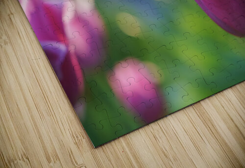 Peace Lady Suzanne Bonin puzzle