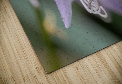 Breeze Blooms Suzanne Bonin puzzle