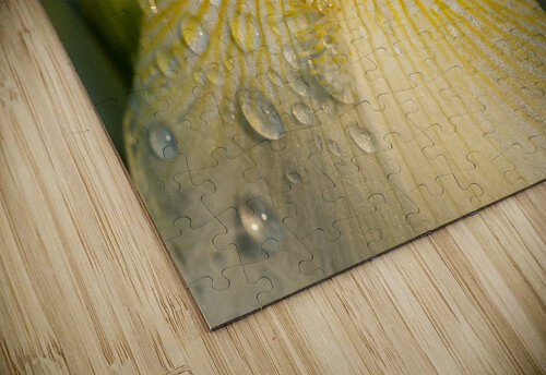 Dreamy Iris Suzanne Bonin puzzle